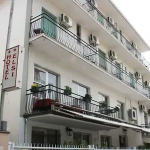 Hotel Elsi